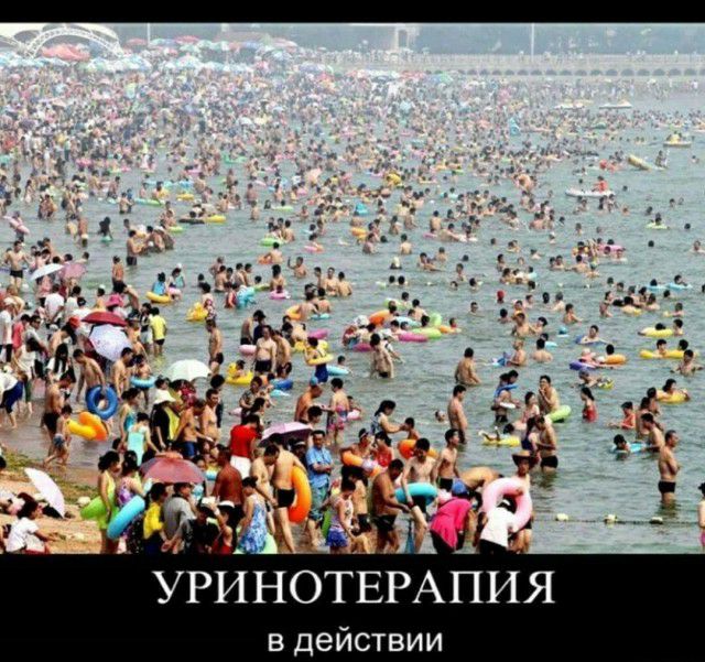в действии Я И П А Р Е Т _О Н И Р У