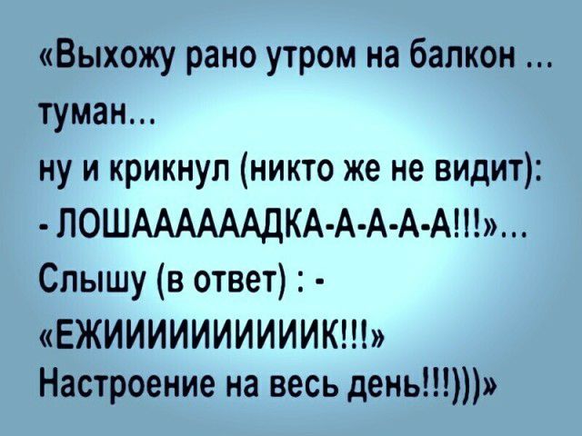Выхожу рано утром на балкон туман ну и крикнул никто же не видит ЛОШААААААДКА А А А А Слышу в ответ ЕЖИИИИИИИИИИК Настроение на весь день