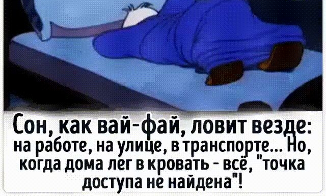 Сон как вайфай ловит вез е на работе на улице втранспорте когда дома лег в крова_ть в_се точка доступа не найдена