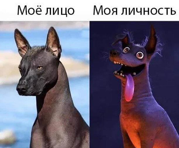 Моё лицо Моя личность