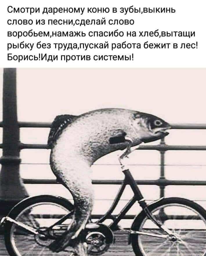 Смотри дареному коню в зубывыкинь слово из песнисделай слово воробьемнамажь спасибо на хпебвытащи рыбку без трудапускай работа бежит в лес БорисьИди против системы