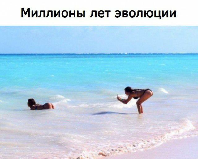МИЛЛИОНЫ лет ЭВОЛЮЦИИ