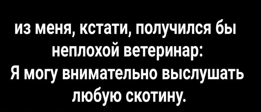 из меня кстати получился бы неплохой ветеринар Я могу внимательно выслушать любую скотину