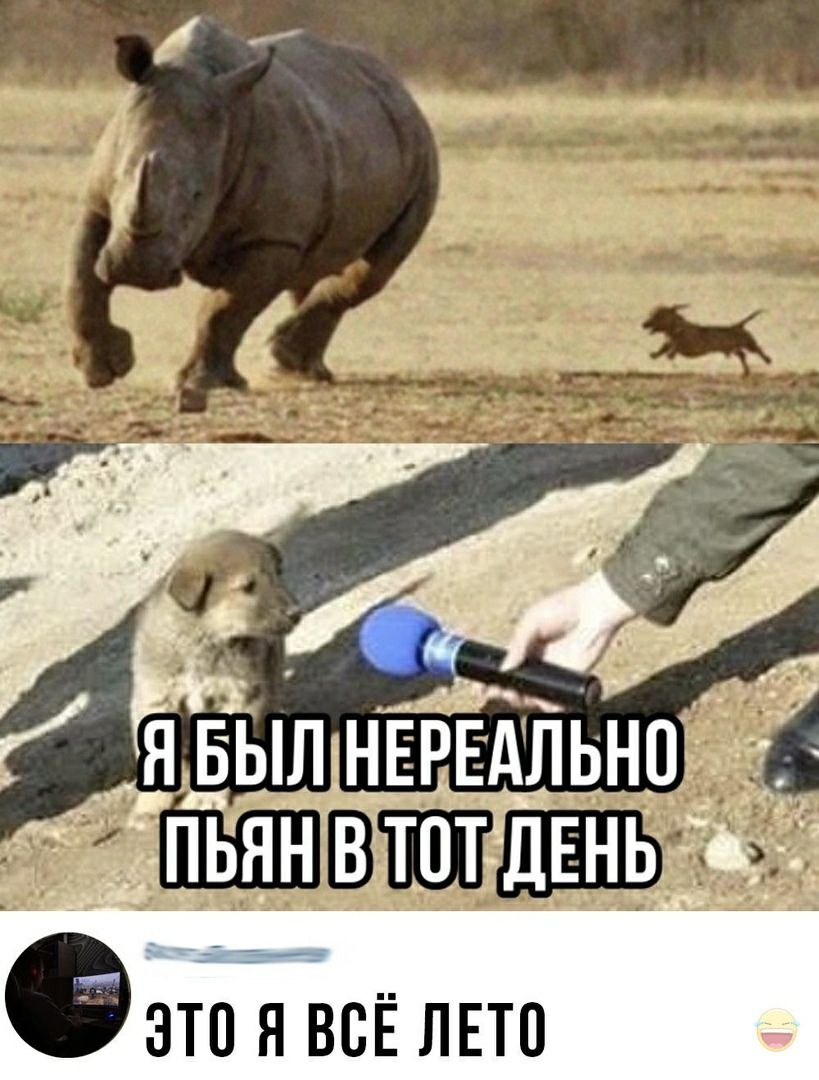 м25 Рг Я БЫЛ НЕРЕАЛЬНП Щд МЁЙ ПЬЯН В ТОТ ДЕНЬ _ ФЗТП Я ВСЁ ЛЕТО