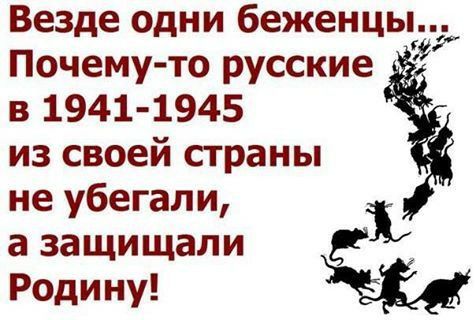везде ОДНИ беженцы 599 Почему то русские в 1941 1945 из своей страны не убегали і а защищали Ё Родину
