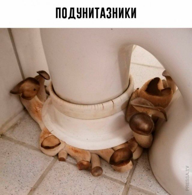 ППДННИТАЗНИКИ