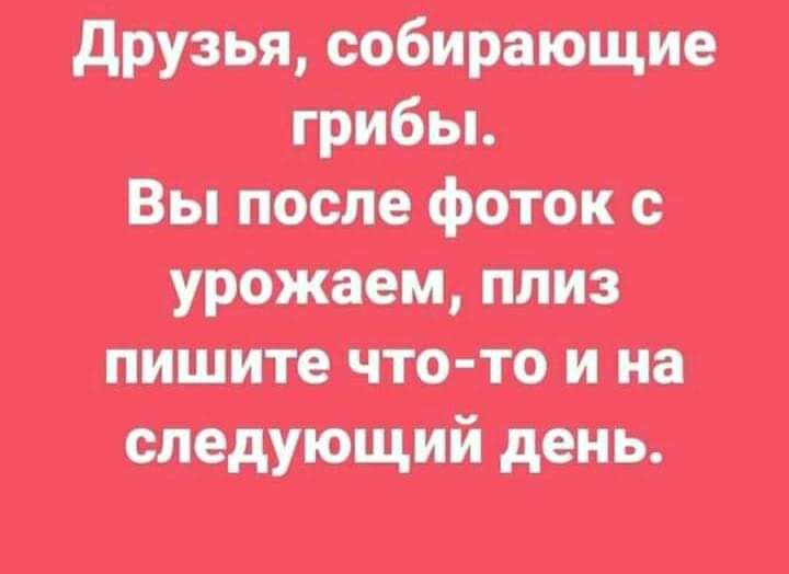 ишшо тнт впив