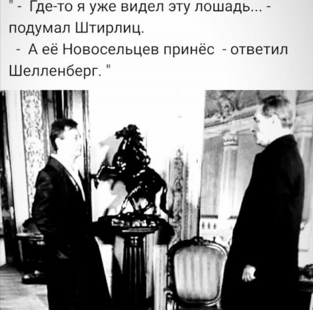 Гдето я уже видел эту лошадь подумал Штирлице А её Новосельцев принёс ответил Шелленберг