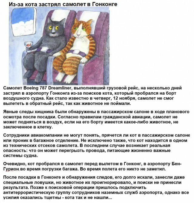 Из за кота дистры самолета Гонконге Самолет Еоапп 1х7 игоагл лег выполнявший грузовой ройс на несколько дней нырял в аэропорту гонкоига идти поисков кота который пробрался на борт воздушного судна Как стало известно в четверг 12 ноября самолет но смог вылотегь в обратный ройс так как мивотноо нв поймали Явные сл ды хищника Были обнарумоиы е пдппажирскпм салона в под планового осмотра после посадки