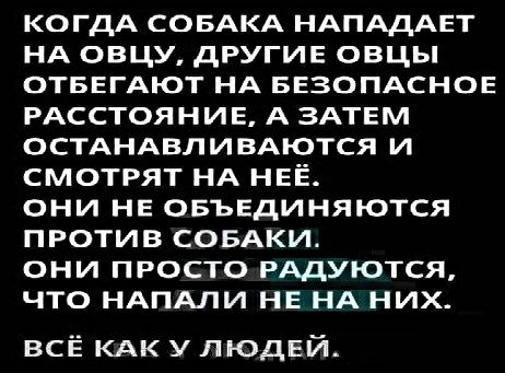 когдА СОБАКА НАПАдАЕт НА овцу дРУГИЕ овцы ОТБЕГАЮТ НА БЕЗОПАСНОЕ РАССТОЯНИЕ А ЗАТЕМ ОСТАНАВЛИВАЮТСЯ и смотрят НА НЕЁ они НЕ ОБЪЕДИНЯЮТСЯ против СОБАКИ они просто РАДУЮТСЯ что НАПАЛИ НЕ НА них всЁ КАК у пюдЕй