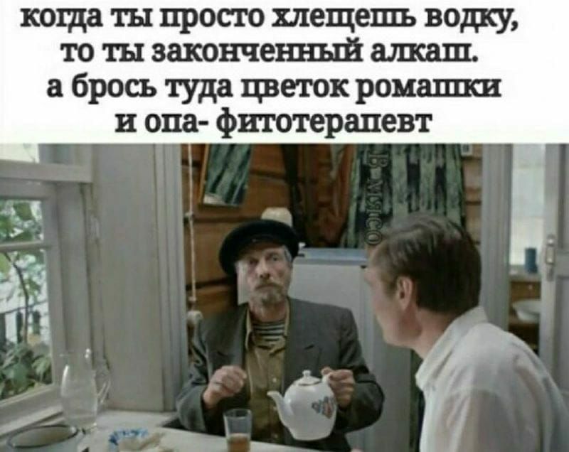 коща ты просто хлещешь водку то ты законченный алкаш брось туда цветок ромашки и опа фитотерапевт