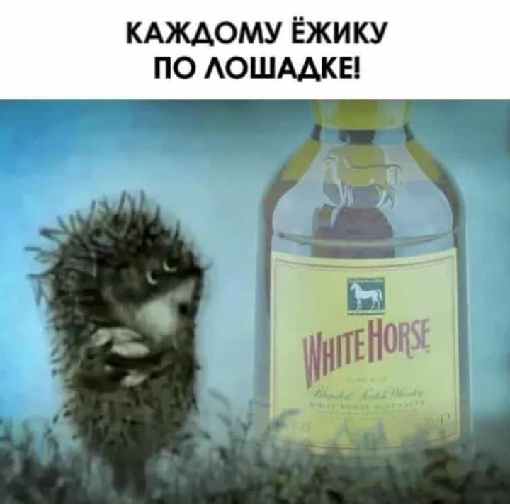 КАЖДОМУ Ёжику по Аошмкы