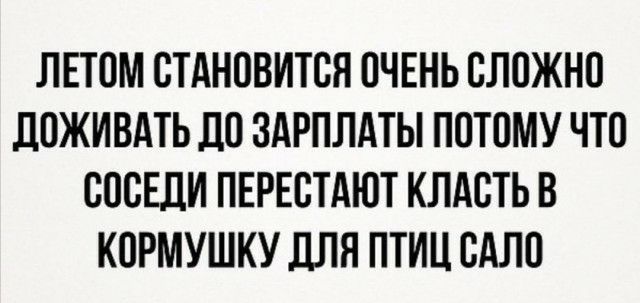 ЛЕТОМ СТАНОВИТСЯ ОЧЕНЬ СЛОЖНО ЛОЖИВАТЬ ДО ЗАРПЛАТЫ ПОТОМУ ЧТО СОСЕДИ ПЕРЕСТАЮТ КЛАСТЬ В КОРМУШКУ дЛЯ ПТИЦ САЛО