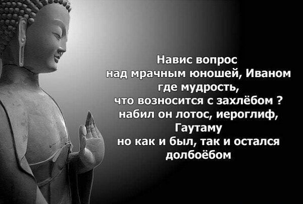 вис вопрос и юношей Иваном е мудрость носится с захлёбом л он лотос иероглиф Гаутаму но как и был так и остался долбоёбом