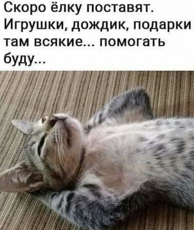 Скоро ёлку поставят Игрушки дождик подарки там всякие помогать буд