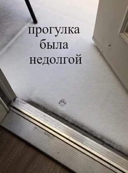 Ё ёрогулка была недолгой
