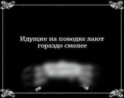 Идущие на поводке лат гораздо смещен