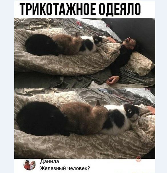 ТРИКОТАЖНПЕ ПДЕНЛО данила Железный человек