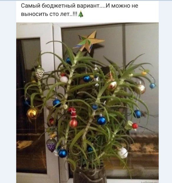 Самый бюджетный вариантИ можно не выносить сто лет