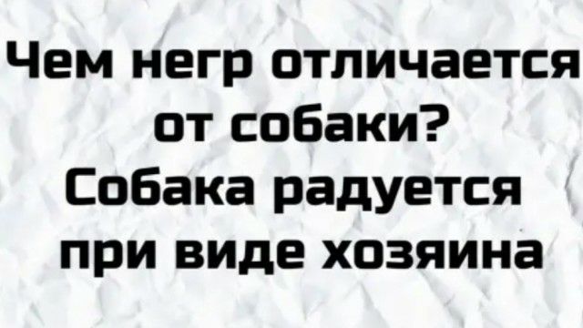 Чем негр отличается от собаки Собака радуется при виде хозяина