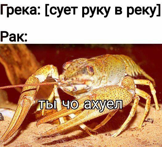 Грека сует руку в реку Рак