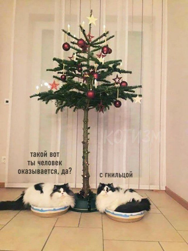 такой вот ты человек оказывается да