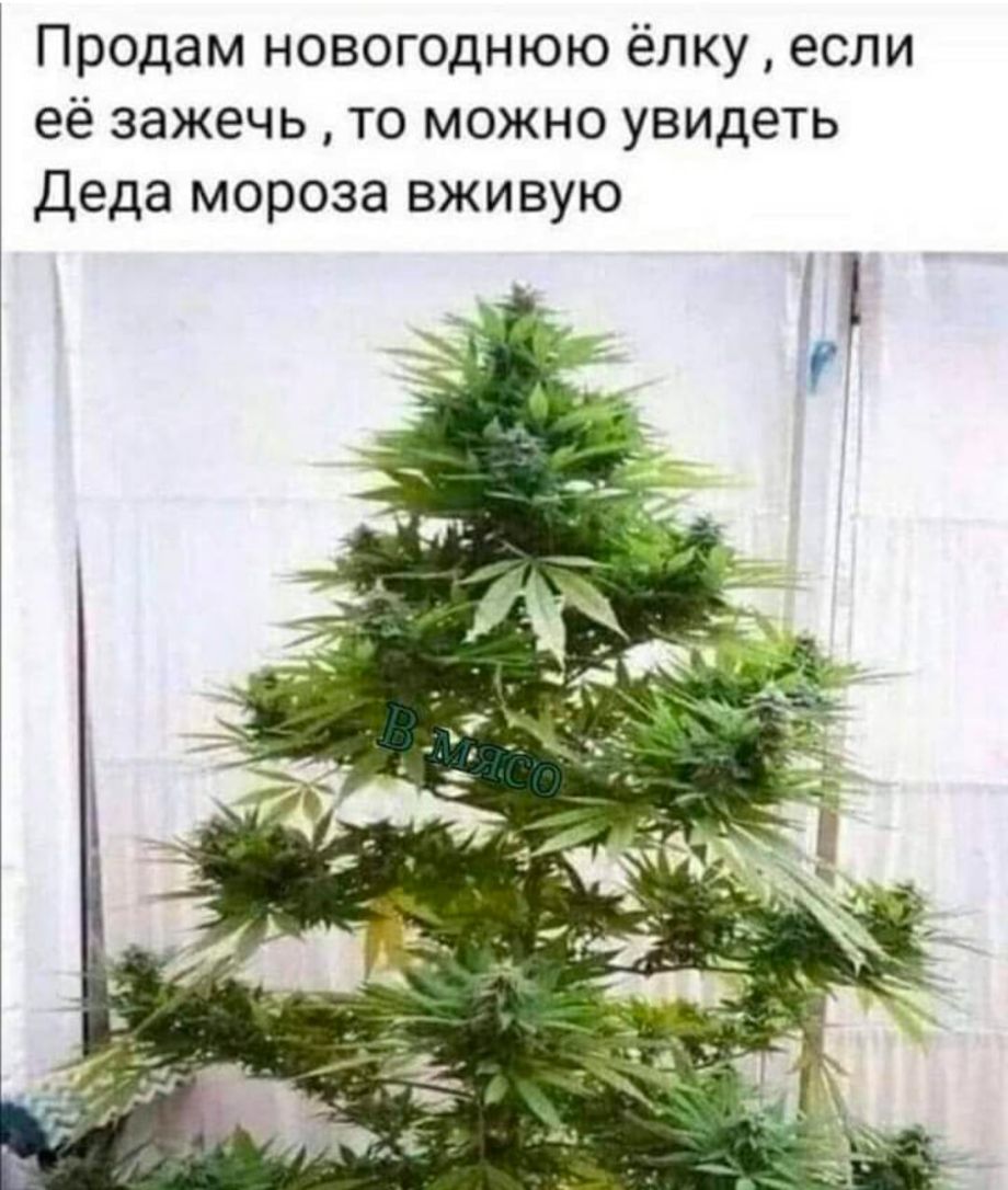 Продам новогоднюю ёлку если её зажечь то можно увидеть Деда мороза вживую
