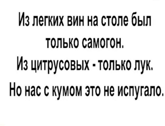 Из легких вин на столе был только самогон Из цитрусовых топько лук Но нас с кумом это не испугало