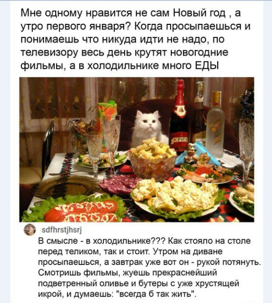 Мне одному нравится не сам Новый год а утро первого января Когда просыпаешься и понимаешь что никуда идти не надо по телевизору весь день крутят новогодние фильмы а в холодильнике мною Еды загпгзцпзц В смысле в холодильнике Как стояло на столе перед тепиком так и стоит Утром на диване просыпаешься а завтрак уже вот он рукой потянуть Смотришь фильмы жуешь прекраснейший подвешенный оливье и бутеры с
