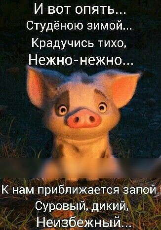 И вот опять Студёною зимой Крадучись тихо Нежно нежно К нам пЬибЬи ается агі
