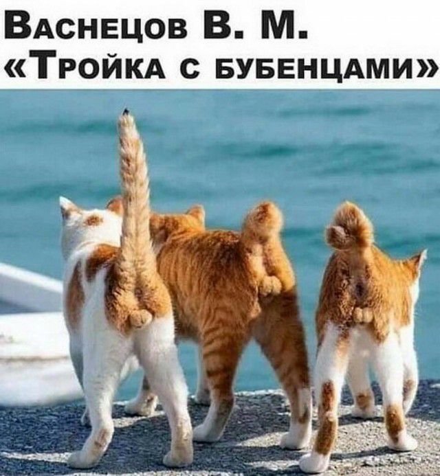 ВАснвцов В М ТРОЙКА с Буввнцдми 1 34 3 __і