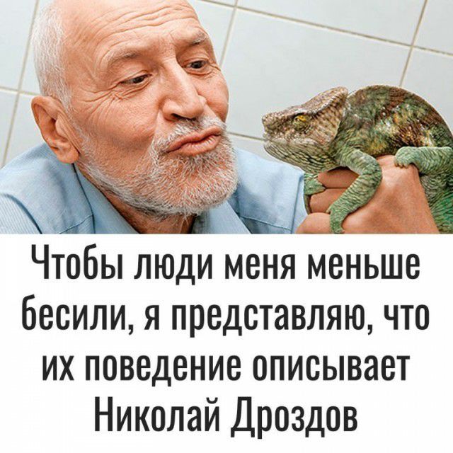 __ Чтобы люди меня меньше бесили я представляю что их поведение описывает Николай Дроздов