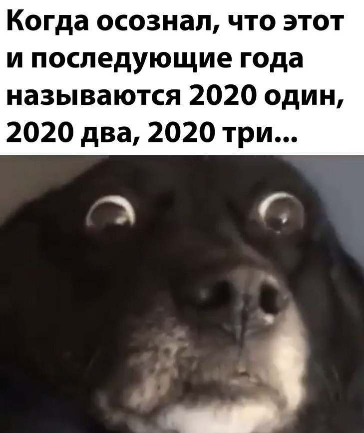 Когда осознал что этот и последующие года называются 2020 один 2020 два 2020 три Г