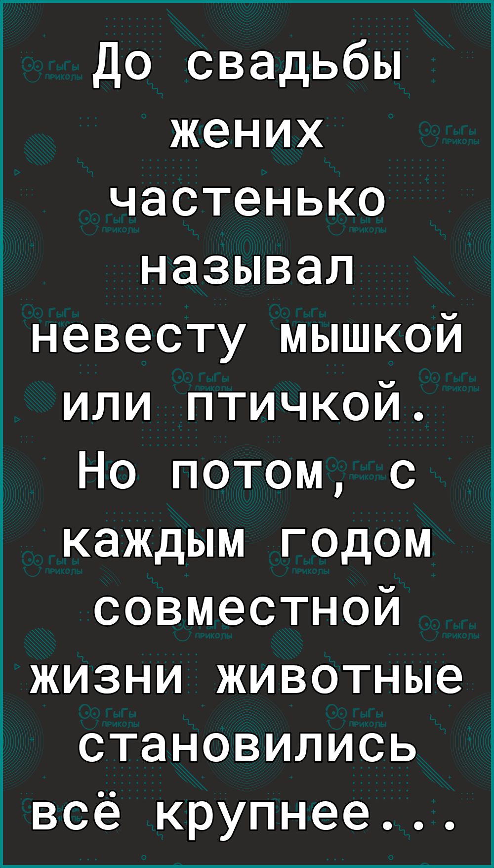До свадьбы жених частенько называл невесту мышкой или птичкой Но потом с каждым годом совместной жизни животные становились всё крупнее