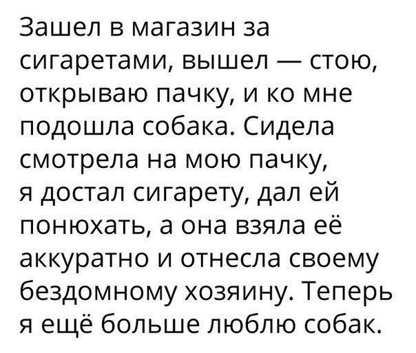 Зашел в магазин за сигаретами вышел стою открываю пачку и ко мне подошла собака Сидела смотрела на мою пачку я достал сигарету дал ей понюхать а она взяла ее аккуратно и отнесла своему бездомному хозяину Теперь я ещё больше люблю собак
