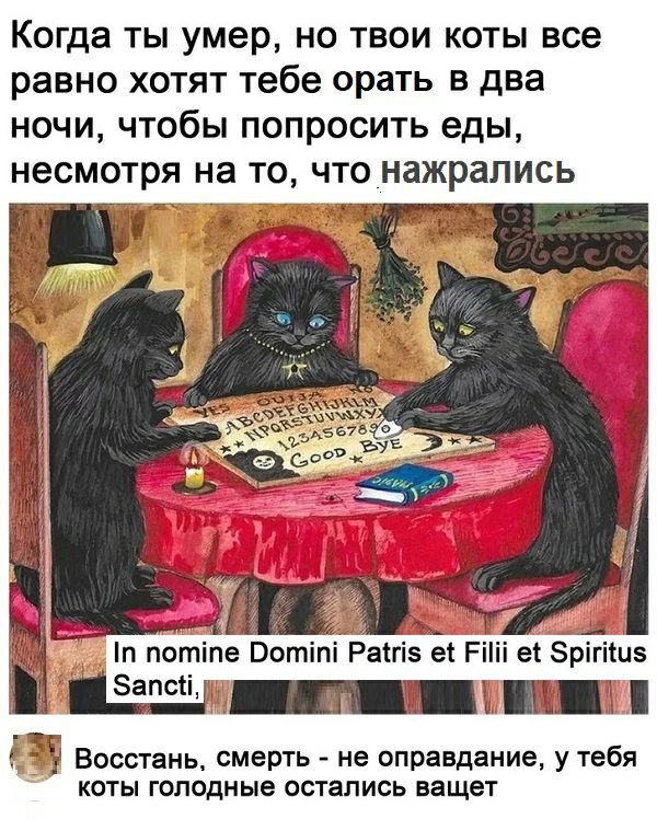 Когда ты умер но твои коты все равно хотят тебе орать в два ночи чтобы попросить еды несмотря на то что нажрались и потіпе Вотіпі Раігіз ет Ріііі е Зрігііиз і ШЗ ііііъ Г Восстань смерть не оправдание у тебя коты голодные остались ващет