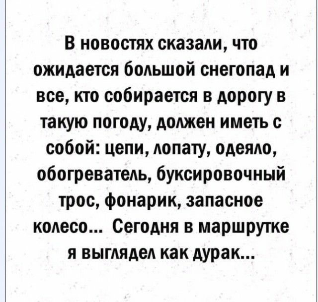 В новостях сказали что ожидается большой снегопад и все кто собирается в дорогу в такую погоду должен иметь с собой цепи лопату одеяло обогреватель буксировочный трос фонарик запасное колесо Сегодня в маршрутке я выглядел как дурак