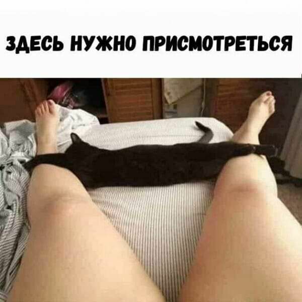 ЗДЕСЬ НУЖНО ПРИСМОТРЕТЬОЯ