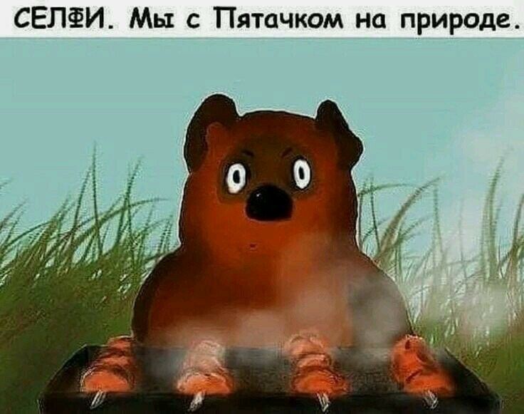 СЕЛФИ Мы с Пятачком на природе