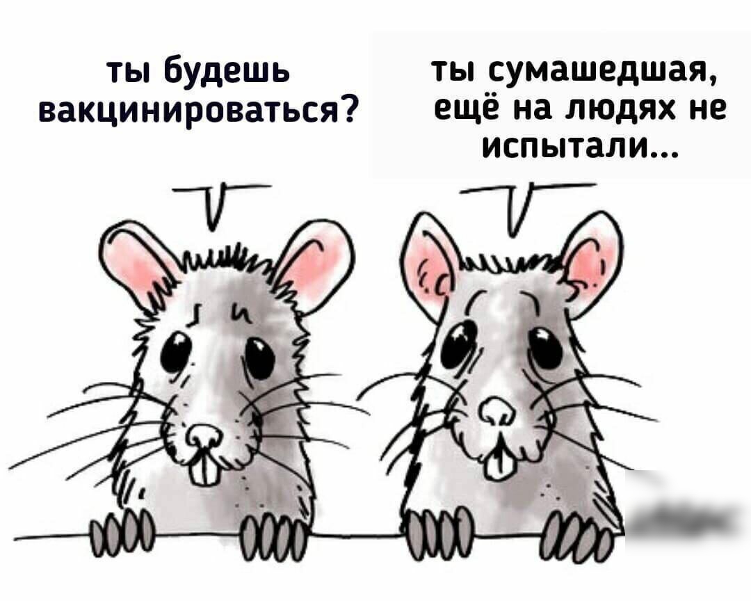 ТЫ будешь ТЫ СУМЗШЕДШЗЯ вакцинироваться ещё на людях не испытали