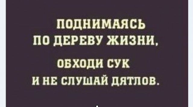 ПОДННММСЬ ПО ДЕРЕВУ ЖИЗНИ овходи сук и на спушдй дятлов