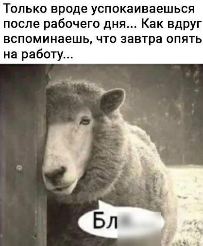 Только вроде успокаиваешься после рабочего дня Как ВдрУг вспоминаешь что завтра опять на работу