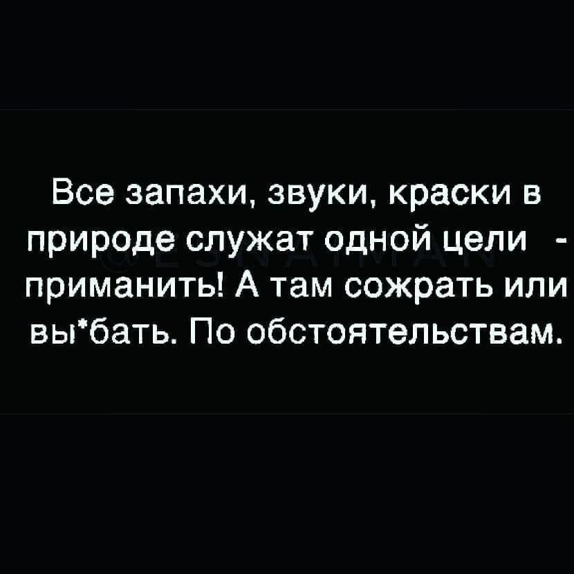 Все запахи звуки краски в природе служат одной цели приманить А там сожрать или выбать По обстоятельствам