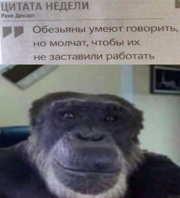 АТА НЕДЕЛИ Бежар Обезьяны умеют говорить но молчат чтобы их не заставили работать