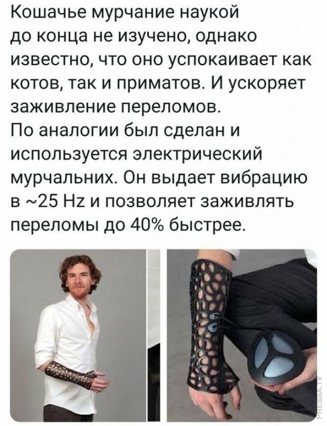 Кошачье мурчание наукой до конца не изучено однако известно что оно успокаивает как КОТОВ ТЗК И ПРИМЭТОВ И ускоряет заживление переломов По аналогии был сделан и используется электрический мурчальних Он выдает вибрацию в 25 Н2 и позволяет заживлять переломы до 40 быстрее