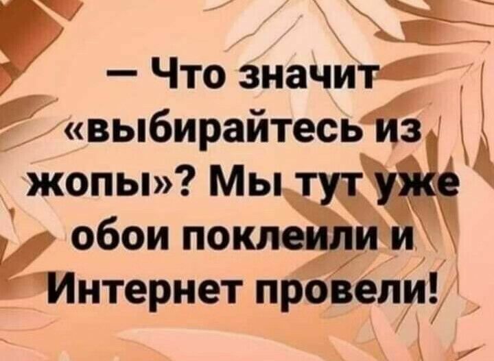Что значйт Ёвыбирайтесь з жопы Мы т обои покл и итернет провели