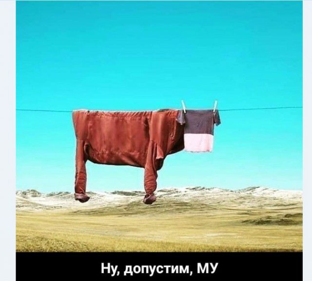 Ну допустим МУ