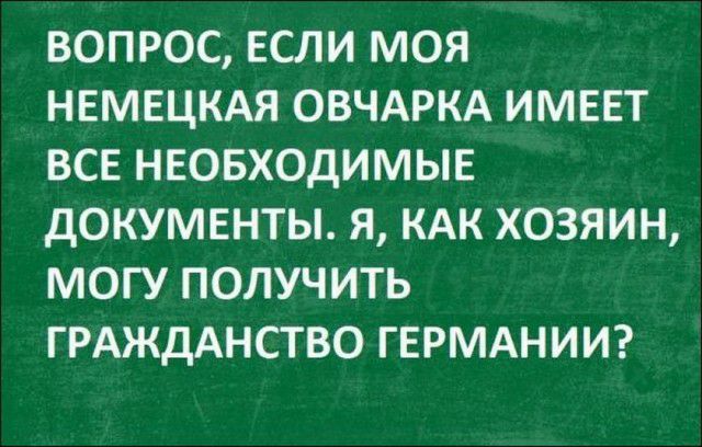 ВОПРОС ЕСЛИ МОЯ НЕМЕЦКАЯ ОВЧАРКА ИМЕЕТ ВСЕ НЕОБХОДИМЫЕ ДОКУМЕНТЫ Я КАК ХОЗЯИН МОГУ ПОЛУЧИТЬ ГРАЖДАНСТВО ГЕРМАНИИ