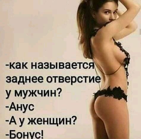 как называете заднее отверстие у мужчин Анус А у женщин Бонус