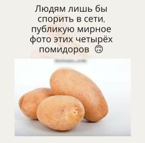 Людям лишь бы спорить в сети публикую мирное фото этих четырёх помидоров